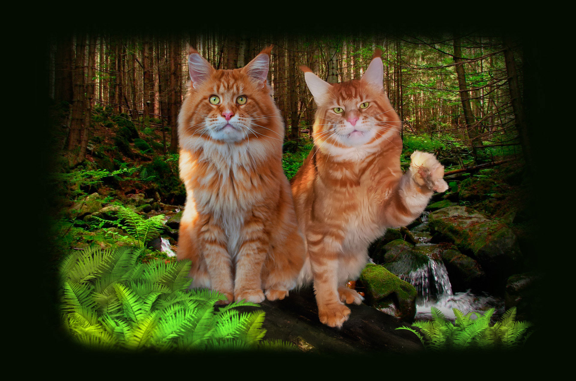Gatto Fantastico